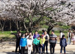 벚꽃나무 앞에서 찍은 단체기념사진
