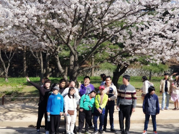 벚꽃나무 앞에서 찍은 단체기념사진
